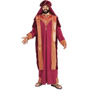 Sultan Costume - Adult Mens Bollywood Costumes Arabian Costumes